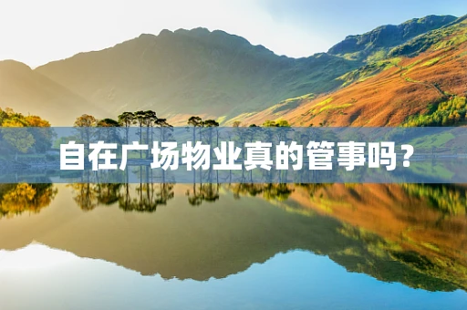 自在广场物业真的管事吗？