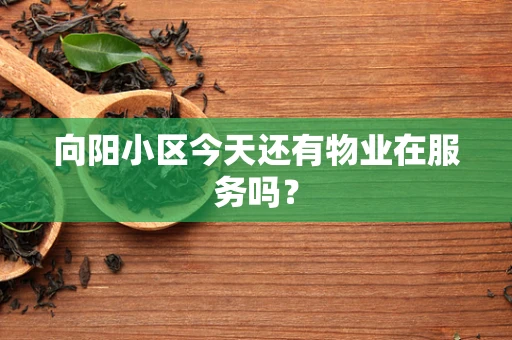 向阳小区今天还有物业在服务吗？