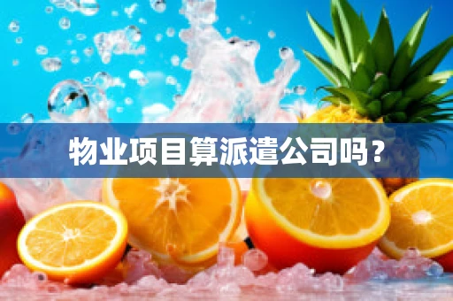 物业项目算派遣公司吗？