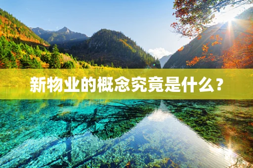新物业的概念究竟是什么？