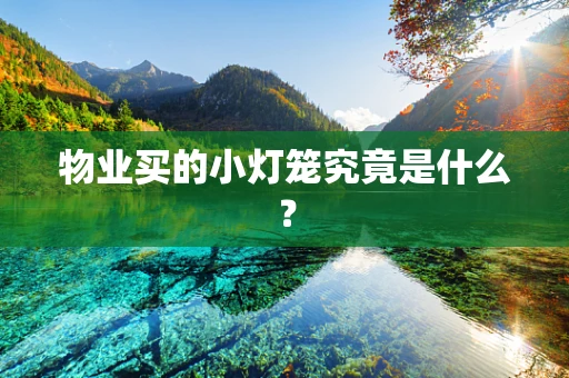 物业买的小灯笼究竟是什么？