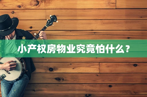 小产权房物业究竟怕什么？