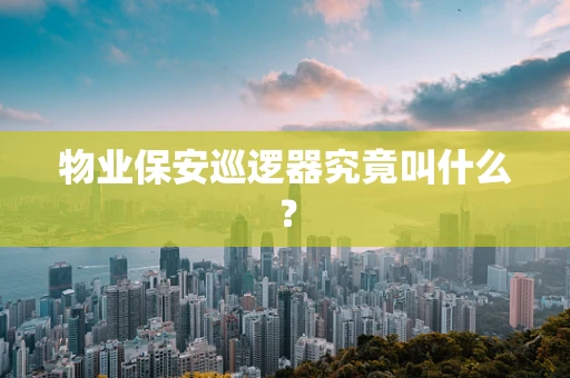 物业保安巡逻器究竟叫什么？