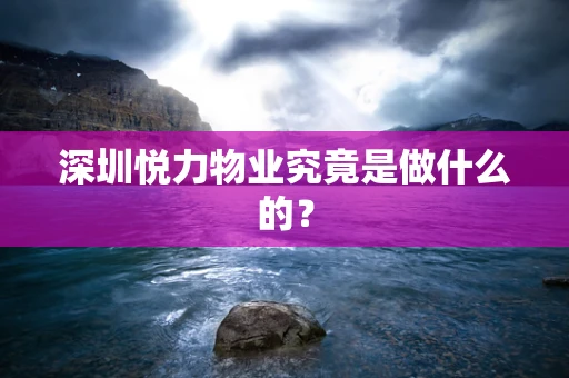 深圳悦力物业究竟是做什么的？