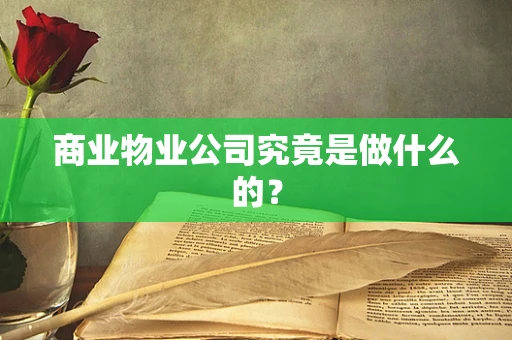 商业物业公司究竟是做什么的？