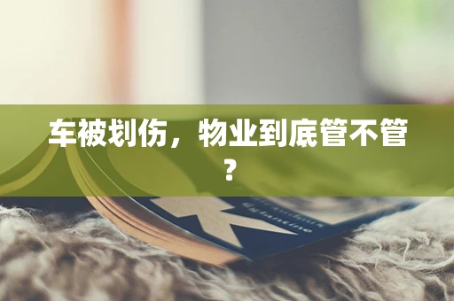 车被划伤，物业到底管不管？