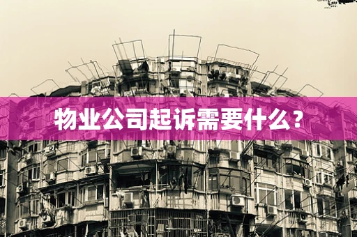 物业公司起诉需要什么？