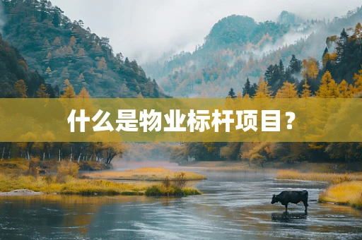 什么是物业标杆项目？