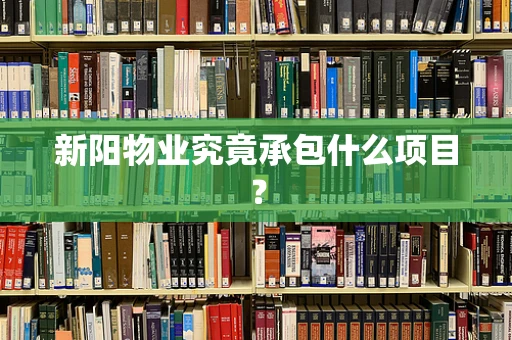 新阳物业究竟承包什么项目？