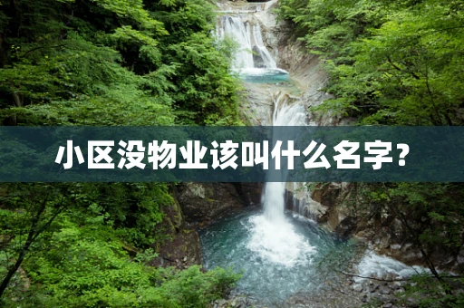小区没物业该叫什么名字？