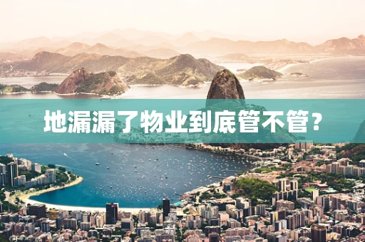 地漏漏了物业到底管不管？