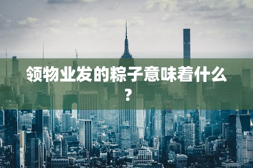 领物业发的粽子意味着什么？