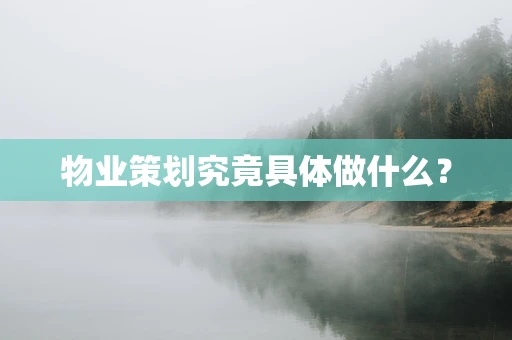 物业策划究竟具体做什么？