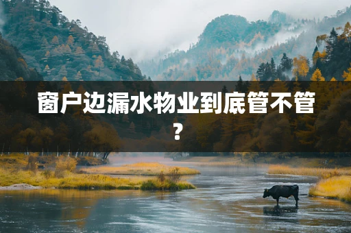 窗户边漏水物业到底管不管？