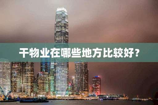 干物业在哪些地方比较好？