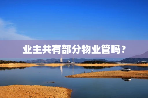 业主共有部分物业管吗？