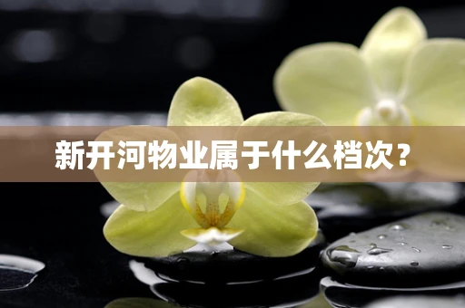 新开河物业属于什么档次？