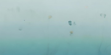 珠海园林花园物业收费吗？