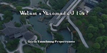 桂林云创物业究竟做什么？