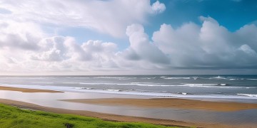 河口天海物业正在招聘吗？