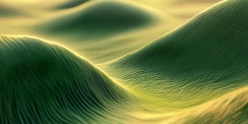 没有约束的物业究竟该叫什么？