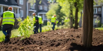 小区换树，物业有责任吗？