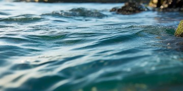 海信物业属于外包吗？