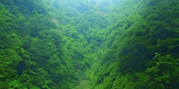 荔城区物业服务差吗？