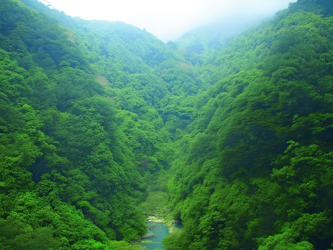 荔城区物业服务差吗？